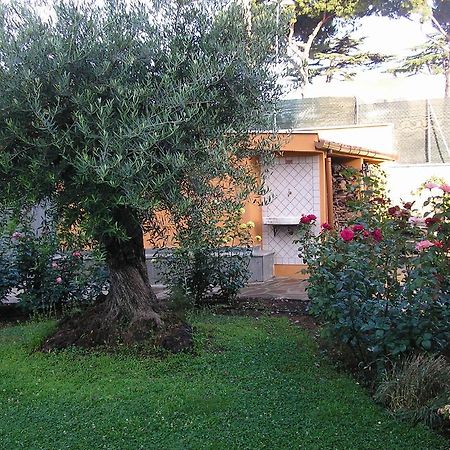 프라스카티 Al Vecchio Olivo B&B 외부 사진