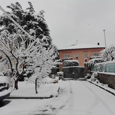 프라스카티 Al Vecchio Olivo B&B 외부 사진