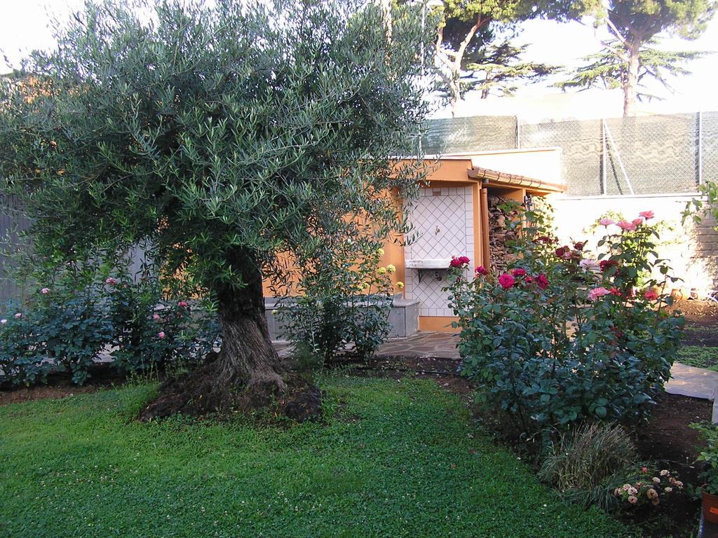 프라스카티 Al Vecchio Olivo B&B 외부 사진