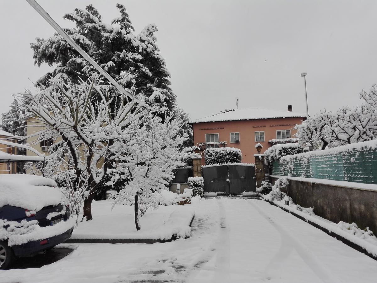 프라스카티 Al Vecchio Olivo B&B 외부 사진