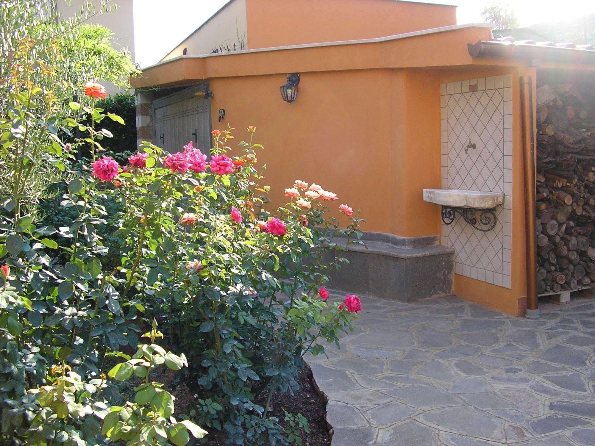 프라스카티 Al Vecchio Olivo B&B 외부 사진